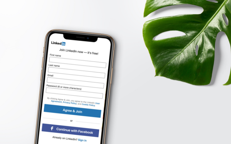 Network and Build Connections