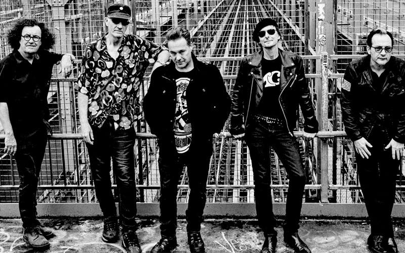 Top 10 Songs of The Damned